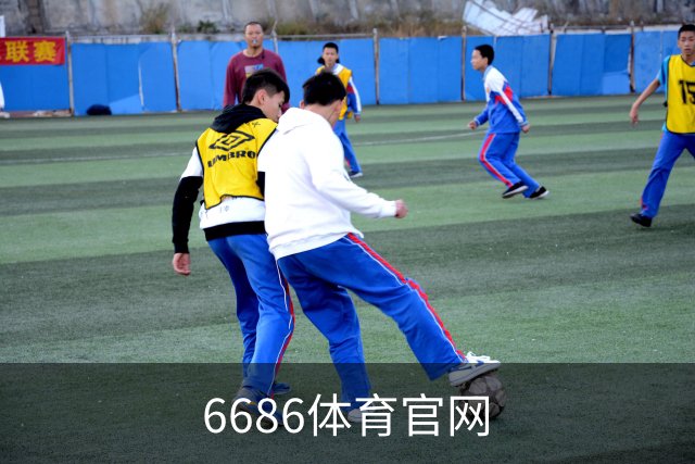 6686体育官网公司介绍
